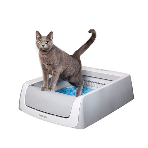 PetSmart self cleaning litter box